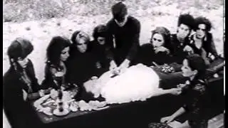 Bad Blood for the Vampyr