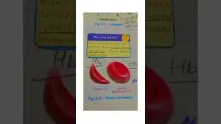 #physicswallah #chemistry #math #shortsviral #biology #trending #shortvideos #motivation #viral