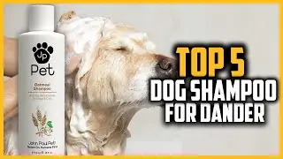 ✅ Top 5 Best Dog Shampoo For Dander of 2024