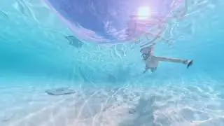 Stingray City Moorea 2025