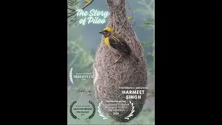 Master Weaver -The Baya Weaver (Official Entry: Lule&aring; International Film Festival, Sweden 2024)
