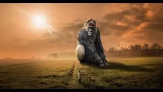 Gorillas - Incredible Gorillas in Their Natural Habitat - KingKong Of natures