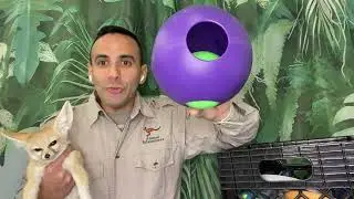 Captive Animal Enrichment and Amazon suggestions for pet toys