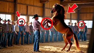 A HUMBLE YOUNG MAN TAMED THE WILDEST HORSE… AND EVERYONE WAS SHOCKED!