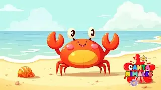 🐢 La tortuga va al mar – Canción infantil con valores y ternura
