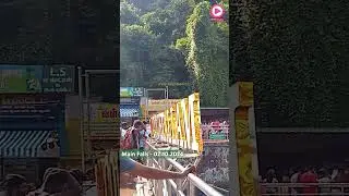 Main Falls | 02.10.2024 | Moderate Waterflow | Bathing Allowed | Crowded | Kutralam Live