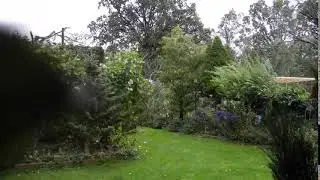 Windb&ouml;e