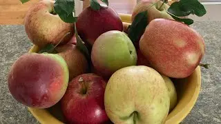 Go support your local Farmers&rsquo; Market! I had a great day at ours.