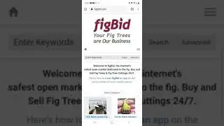 Tree For Sale - Figbid.com