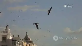 🎣 Исследуем скрытые рыбацкие городки Дании | Прибрежная жизнь, морепродукты и скандинавский шарм 🇩🇰🌊