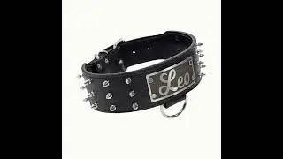 Custom Black Genuine Leather Collar