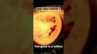 &ldquo;Humans actually glow in the dark. Here&rsquo;s why 👀💡&rdquo;