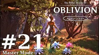 The Elder Scrolls IV: Oblivion Remastered Master Mode Episode 21: More Gates, More Allies!