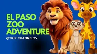 El paso Zoo Adventure #elpaso #elpasozoo