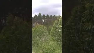 Passeio Na Natureza 😍