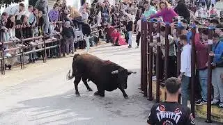 Toro del Barrio Bajo Enero 2026. Segundo Toro( cuarto video)
