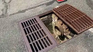 Catch Basin Failures: Causes & Solutions