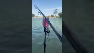 🎯 The Most Compact Bluetooth Fish Bite Detector Alarm!