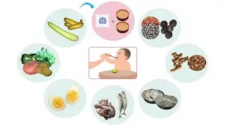 General Guidelines for Complementary Feeding- English