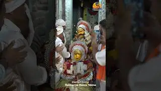 Babbarya Banta Nema, Shediguri Dambel