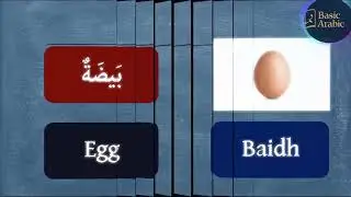 learn Arabic while you drive