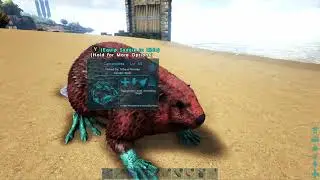 MasterCraft Valentines Dino Candy on Castoroides [Ark] 2019