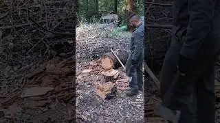 2023-07-23 #ForestLife #Firewood #Redwood #Forest #Eudaemonius #YourEveryDaySanta