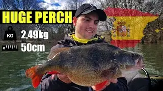 JEZERO PERCHZILLA A REKORDN&Iacute; OKOUN / PERCHZILLA LAKE AND BIG PERCH