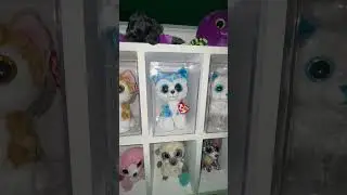 Beanie Boo Collector! ✨