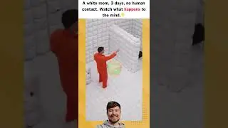 A white room, 3 days, no human contact. Watch what happens to the mind.👇