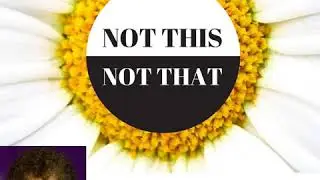 Not This Not That - Granny Rocks with Beth Green