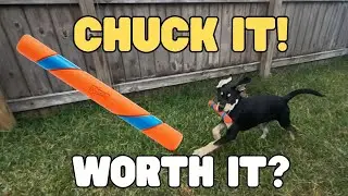CHUCK IT! Ultra Fetch Stick Review (from a dog mom!)