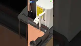 3D Printed Dragon