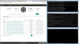Tuto : Install Coin (SAROS-SAROS) on Yiimp
