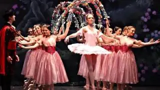 Booktrailer 'The death of Pyotr Ilyich Tchaikovsky'