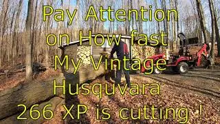Vintage Husqvarna 266 XP Cutting Big Fire Wood Logs and Carried All It With My Mahindra eMax 20s HST