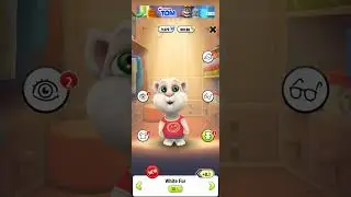 My talking cat 😂😺😂