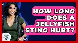 How Long Does A Jellyfish Sting Hurt? - Chasing Big Fish