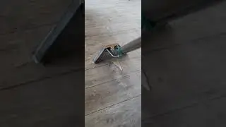 Rinse extraction cleaning a Flotex carpet