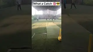#unbelievablecatch 🎯🏏😎 #boxcricketleague #topcatch