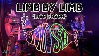Limb By Limb (Phish Cover) feat. The Reality Check Experiment