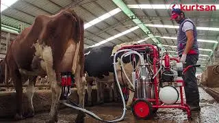 Kurtsan Mobile Milking Machine - Portable Milker