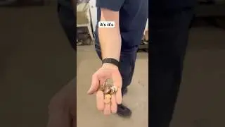 Война босса с родительским комитетом за копейки. #короткометражки #реалитишоу #рабочийкласс #смеш...