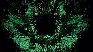 Jungle Stock Motion Graphics