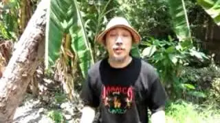 FREEDOM / SING J ROY