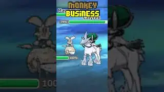 RAGE QUITTER LOSES TO MONKEY BUSINESS #pokemon #salty #pokemonscarletandviolet #showdown