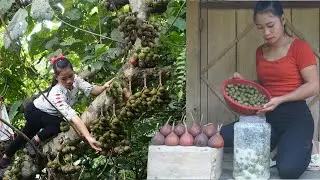 The girl lives in the wild, finds wild fruits and harvests them to store for the winter