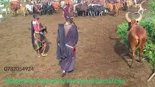 Mangombe lupondeja