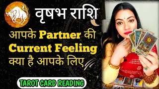 Taurus ♉ वृषभ राशि | Partner की Current Feeling आपके लिए | Tarot Reading | Divine Cards by Aani✨
