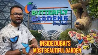 Butterfly Garden Abudhabi Alqana | Most beautiful garden in Dubai | Must visit garden in world